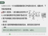 高中生物新教材同步必修第一册课件+讲义 章末检测试卷(第3章)