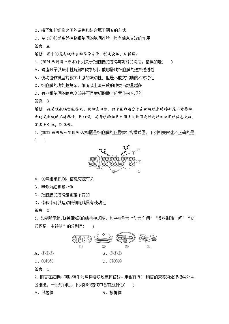 高中生物新教材同步必修第一册课件+讲义 章末检测试卷(第3章)02