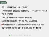高中生物新教材同步必修第一册课件+讲义 第3章　重点突破练(二)