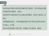 高中生物新教材同步必修第一册课件+讲义 第3章　重点突破练(二)