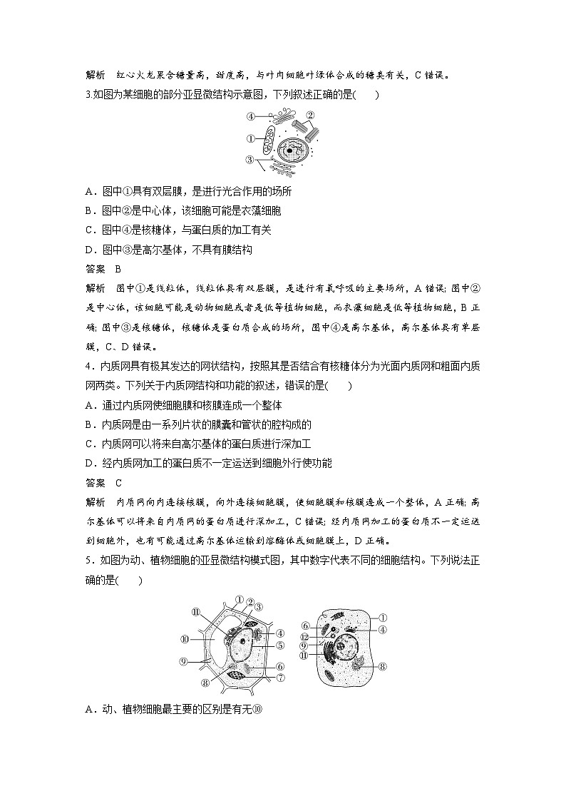 高中生物新教材同步必修第一册课件+讲义 第3章　重点突破练(二)02