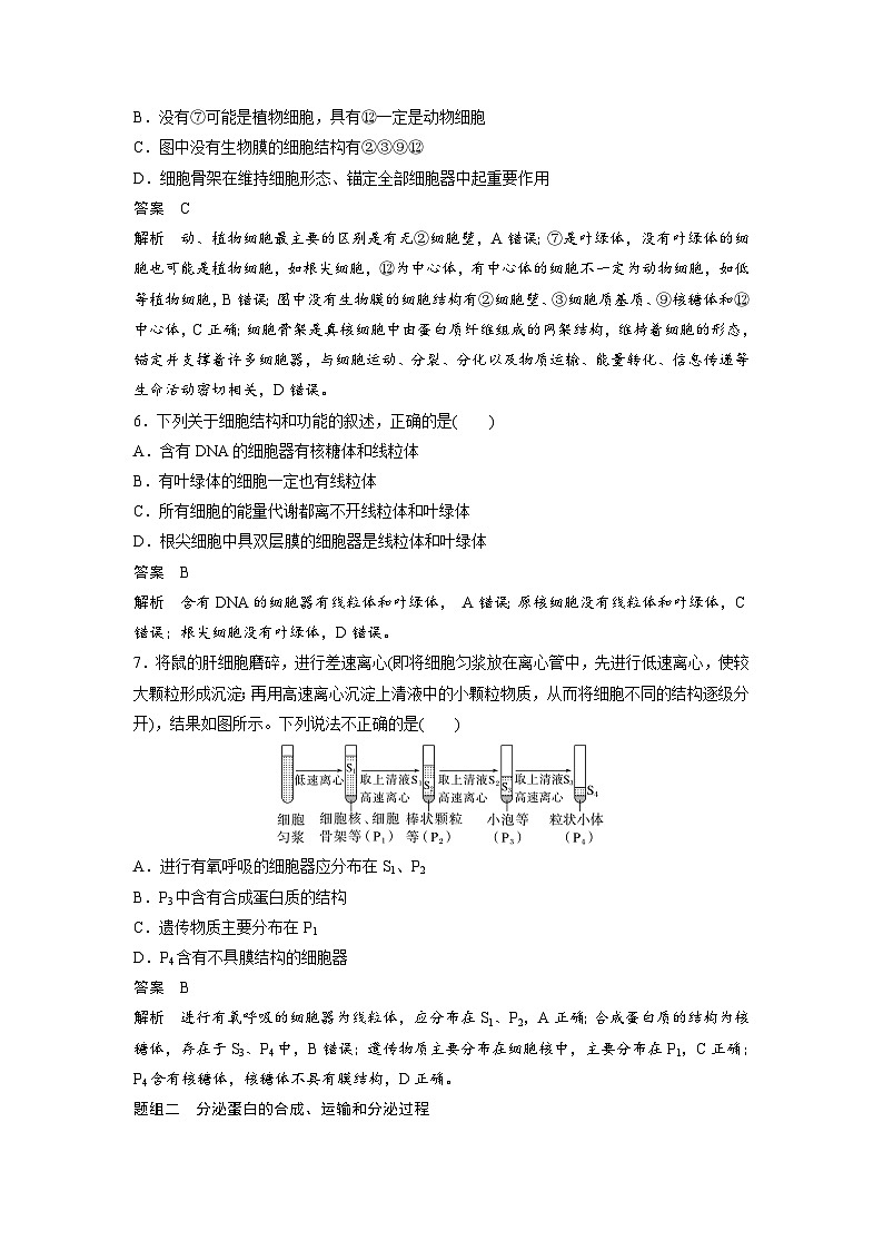 高中生物新教材同步必修第一册课件+讲义 第3章　重点突破练(二)03