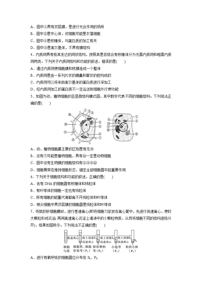 高中生物新教材同步必修第一册课件+讲义 第3章　重点突破练(二)02