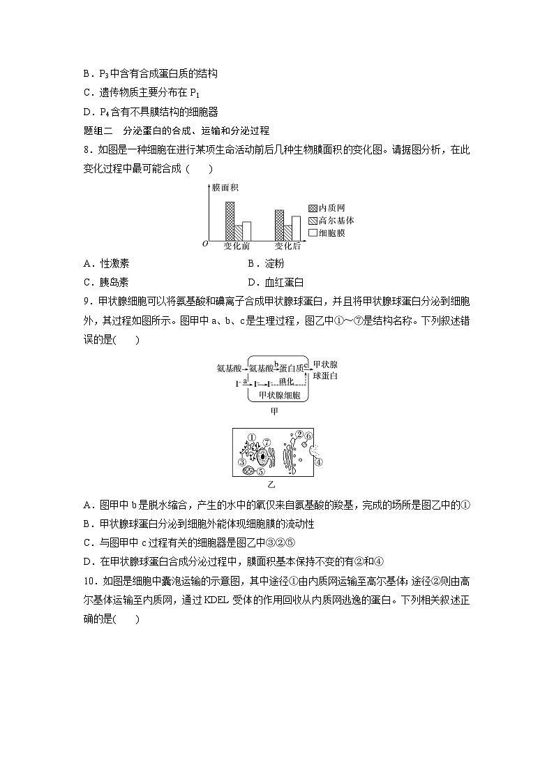 高中生物新教材同步必修第一册课件+讲义 第3章　重点突破练(二)03