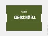 高中生物新教材同步必修第一册课件+讲义 第3章　第2节　第1课时　细胞器之间的分工