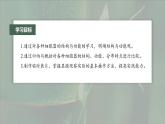 高中生物新教材同步必修第一册课件+讲义 第3章　第2节　第1课时　细胞器之间的分工