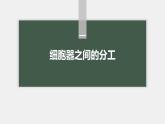 高中生物新教材同步必修第一册课件+讲义 第3章　第2节　第1课时　细胞器之间的分工