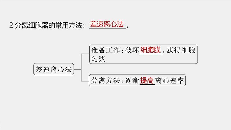 第3章　第2节　第1课时　细胞器之间的分工第7页