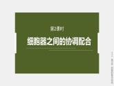 高中生物新教材同步必修第一册课件+讲义 第3章　第2节　第2课时　细胞器之间的协调配合