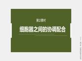 高中生物新教材同步必修第一册课件+讲义 第3章　第2节　第2课时　细胞器之间的协调配合