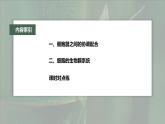 高中生物新教材同步必修第一册课件+讲义 第3章　第2节　第2课时　细胞器之间的协调配合