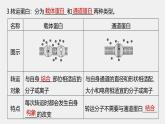 高中生物新教材同步必修第一册课件+讲义 第4章　第1节　第2课时　被动运输