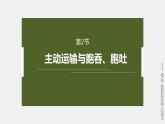 高中生物新教材同步必修第一册课件+讲义 第4章　第2节　主动运输与胞吞、胞吐