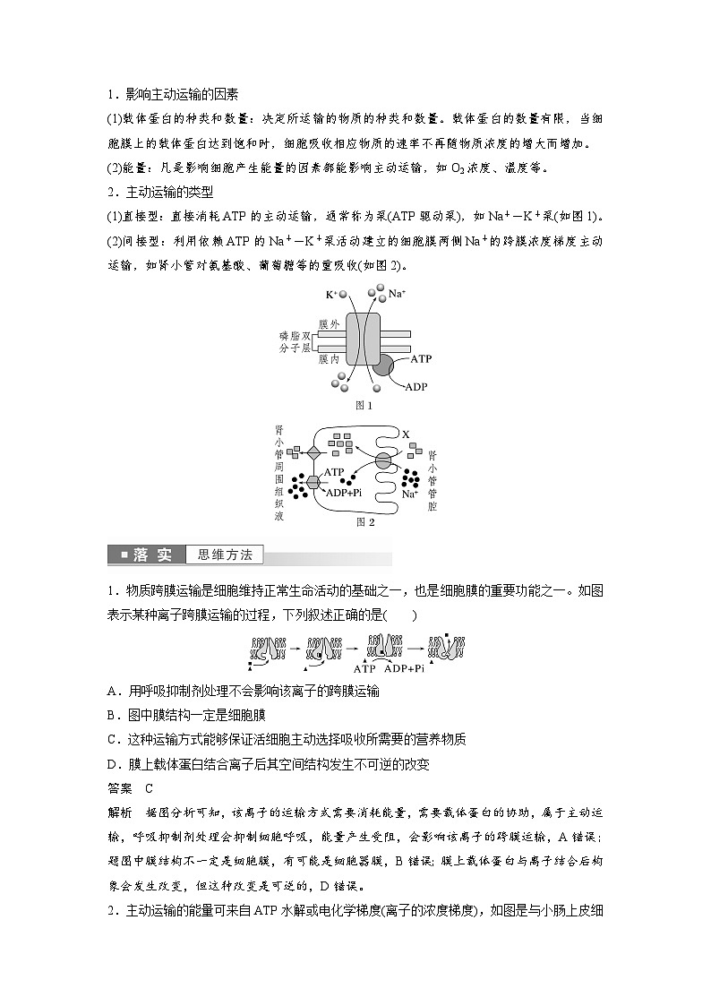 第4章　第2节　主动运输与胞吞、胞吐（教师版）第3页