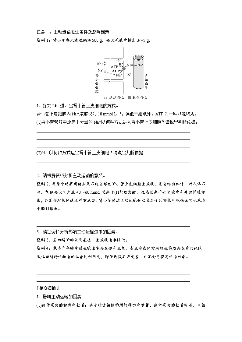第4章　第2节　主动运输与胞吞、胞吐（学生版）第2页