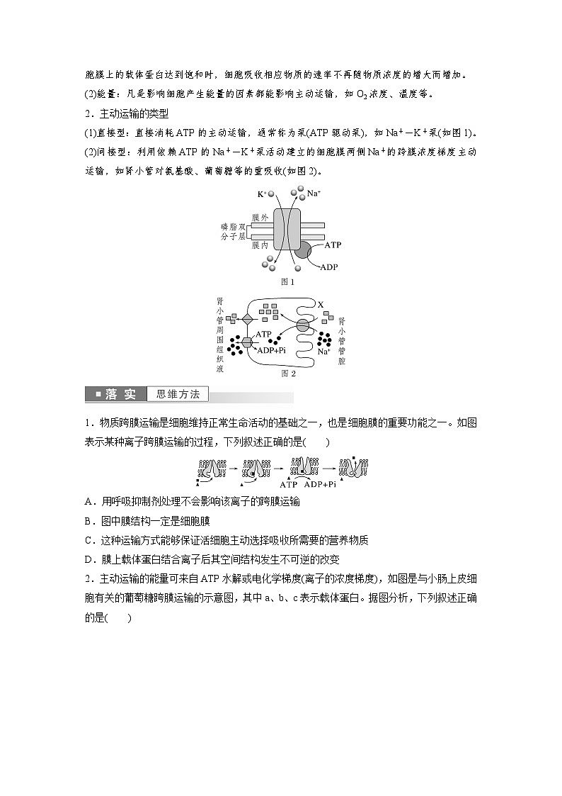 第4章　第2节　主动运输与胞吞、胞吐（学生版）第3页