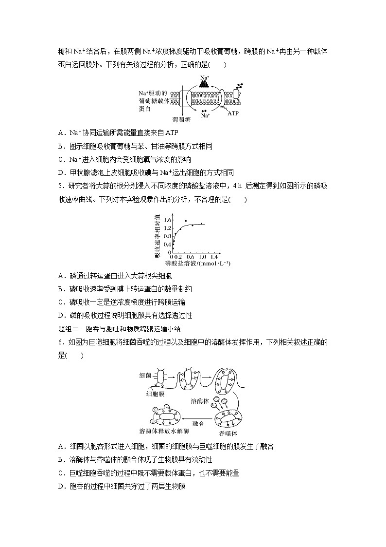 第4章　作业17　主动运输与胞吞、胞吐（练习）第2页