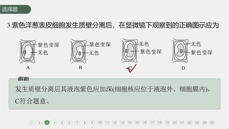 章末检测试卷(第4章)第7页