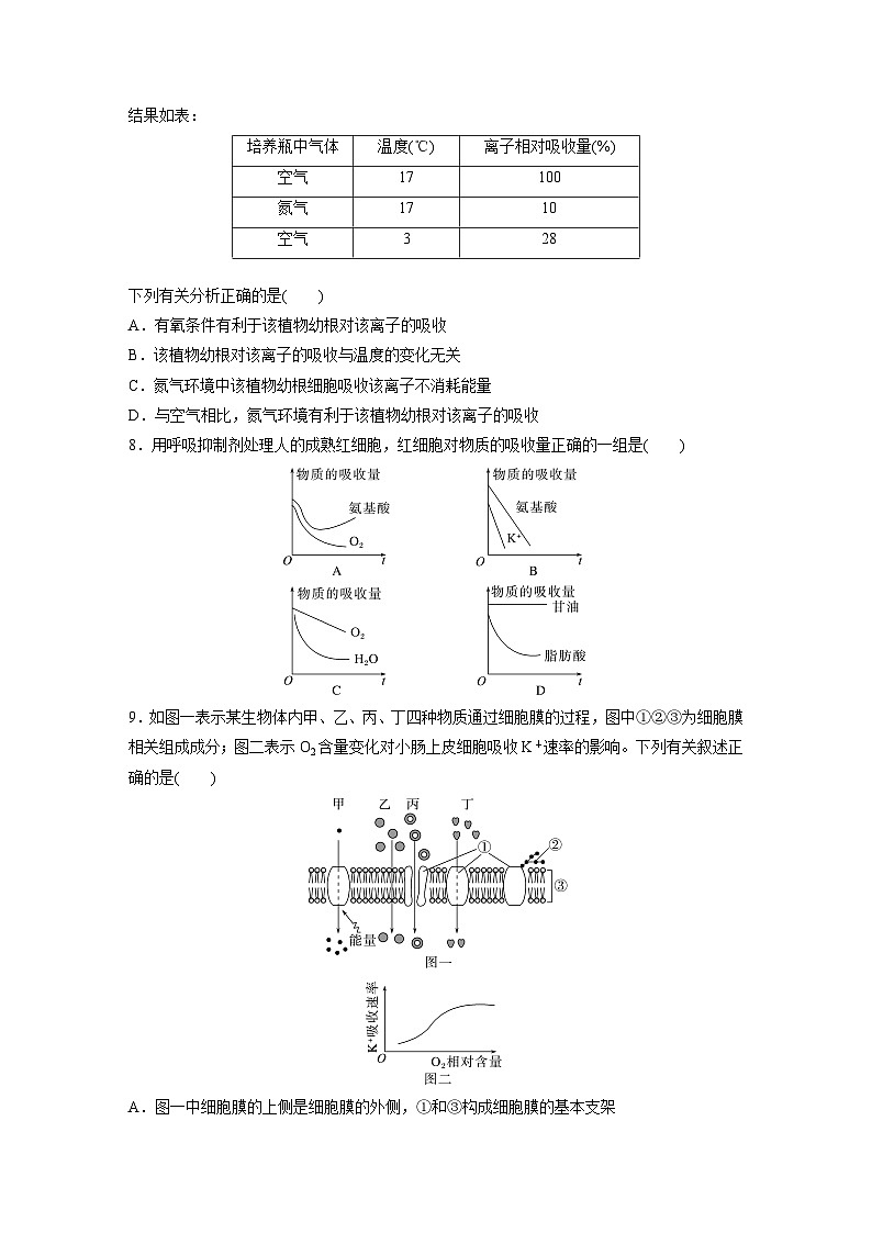 高中生物新教材同步必修第一册课件+讲义 第4章　重点突破练(三)03