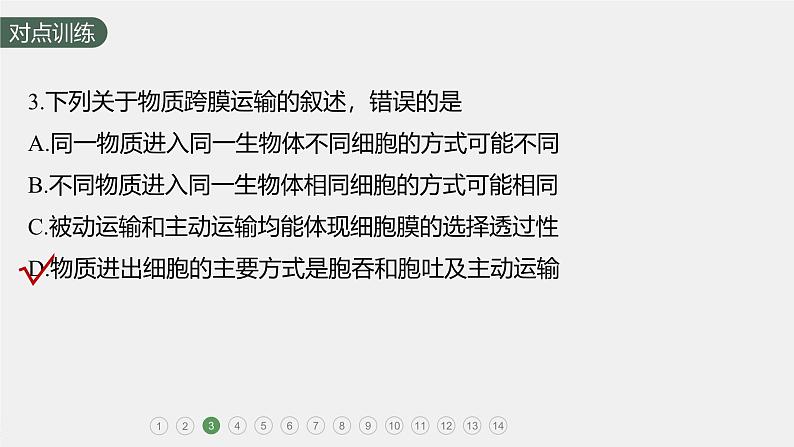 高中生物新教材同步必修第一册课件+讲义 第4章　重点突破练(三)06