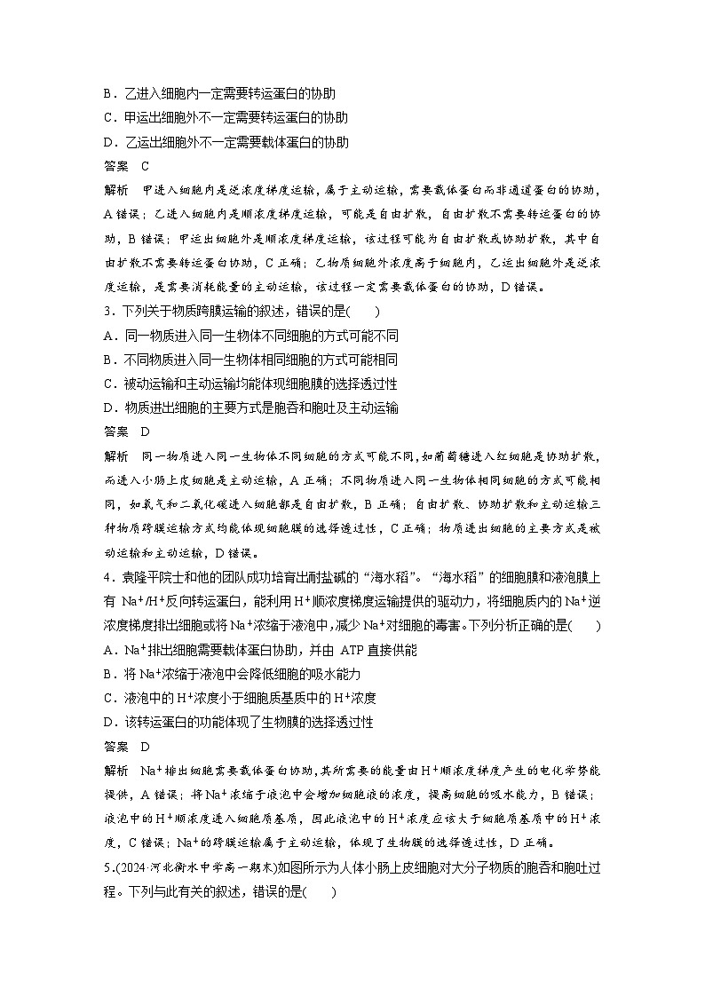 高中生物新教材同步必修第一册课件+讲义 第4章　重点突破练(三)02