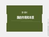高中生物新教材同步必修第一册课件+讲义 第5章　第1节　第1课时　酶的作用和本质