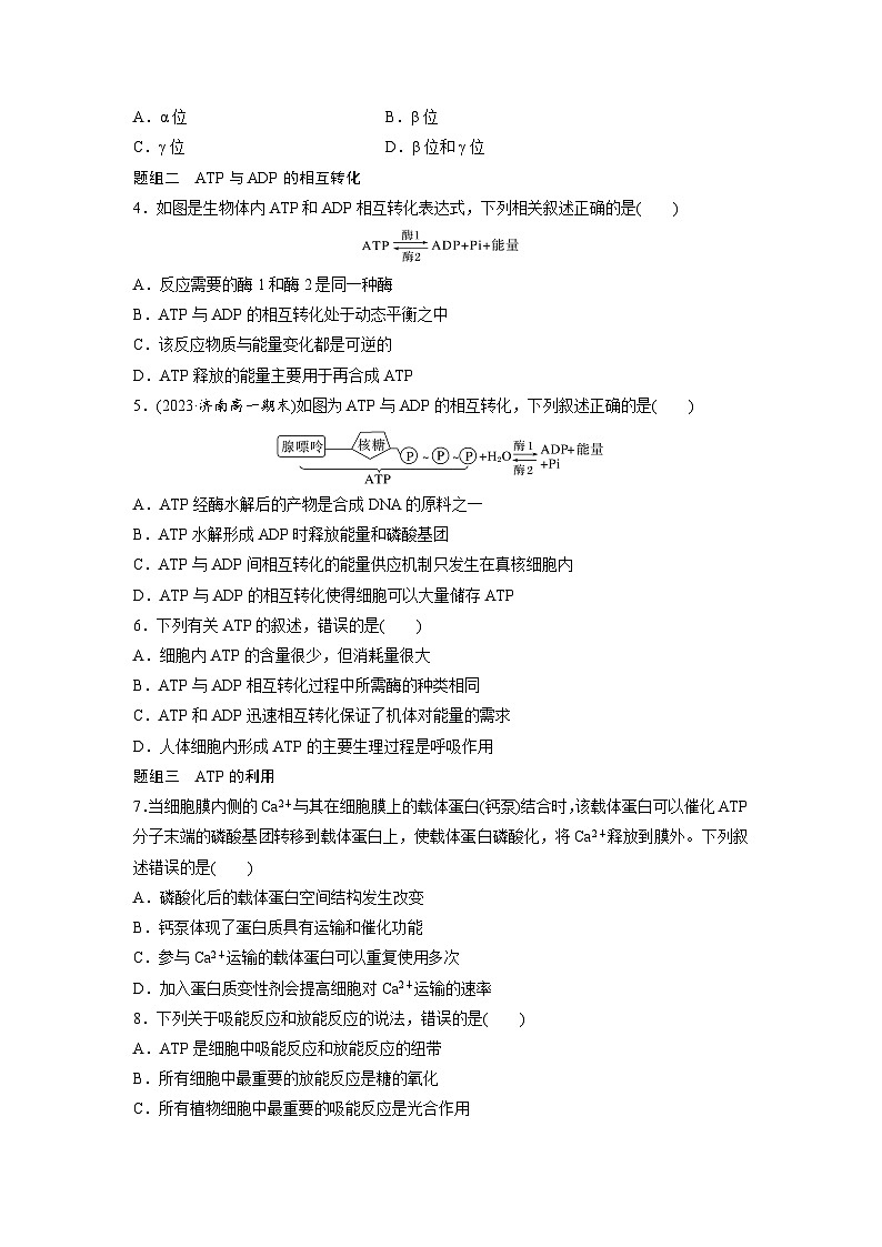 第5章　作业21　细胞的能量“货币”ATP（练习）第2页