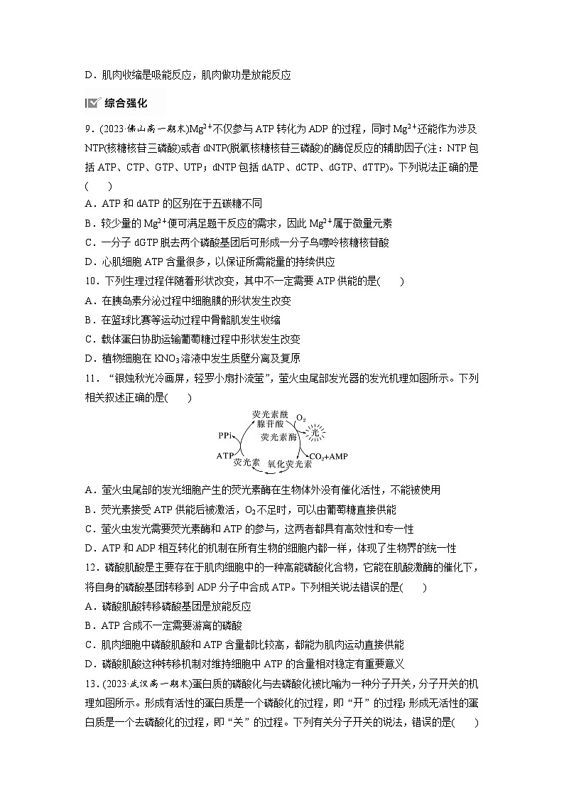 第5章　作业21　细胞的能量“货币”ATP（练习）第3页