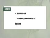 高中生物新教材同步必修第一册课件+讲义 第5章　第4节　第1课时　捕获光能的色素和结构