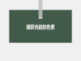高中生物新教材同步必修第一册课件+讲义 第5章　第4节　第1课时　捕获光能的色素和结构