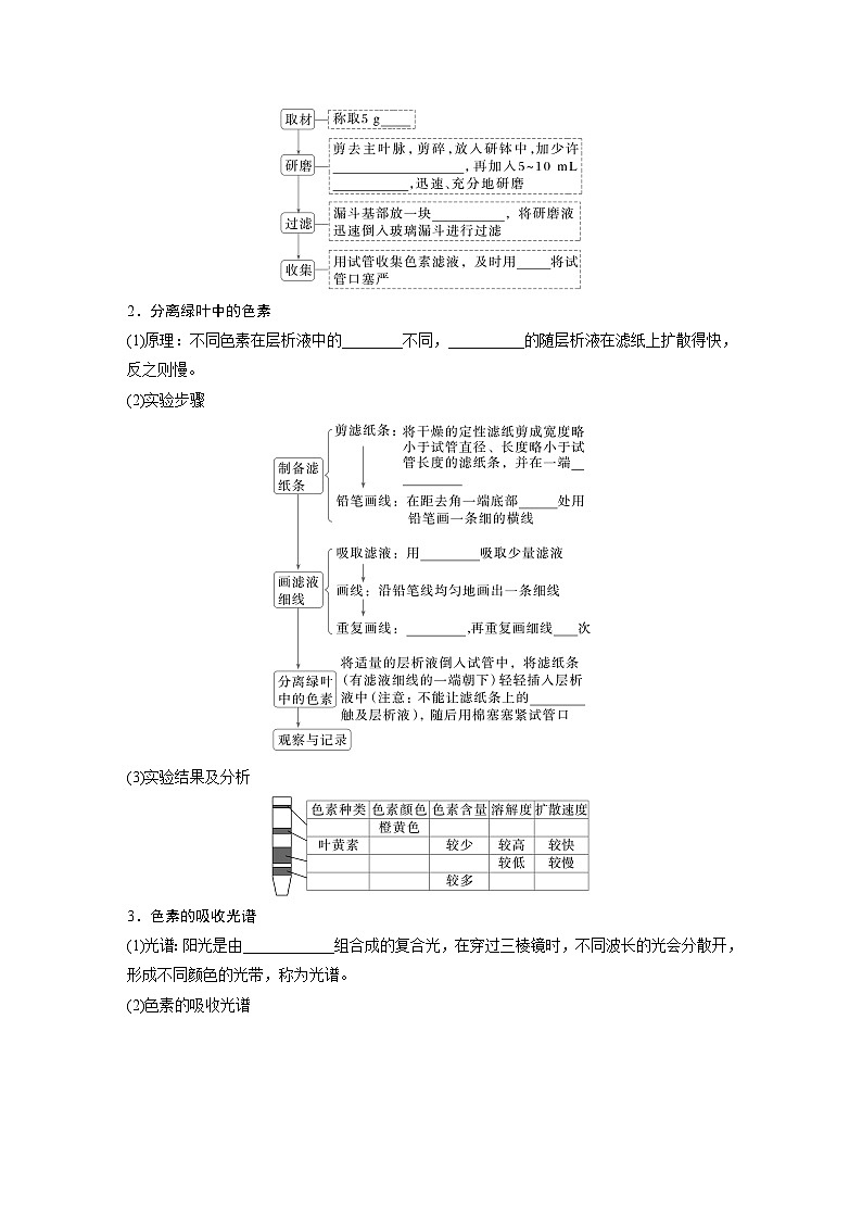第5章　第4节　第1课时　捕获光能的色素和结构（学生版）第2页