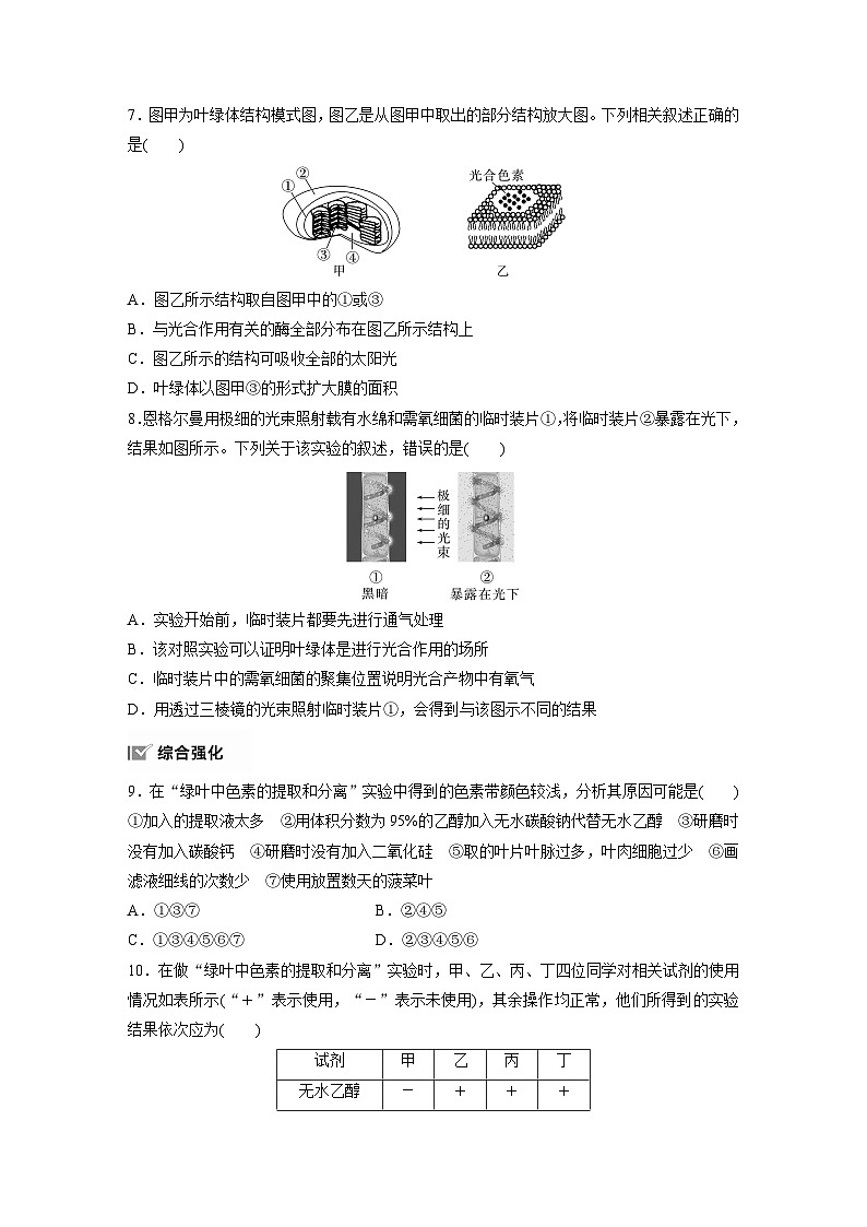 第5章　作业24　捕获光能的色素和结构（练习）第3页