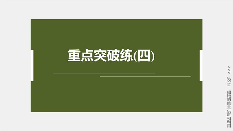 第5章　重点突破练(四)第2页