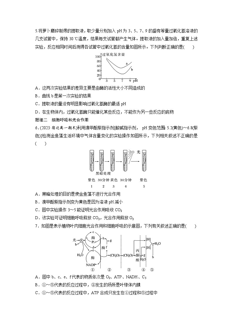 第5章　作业27　重点突破练(四)（练习）第3页