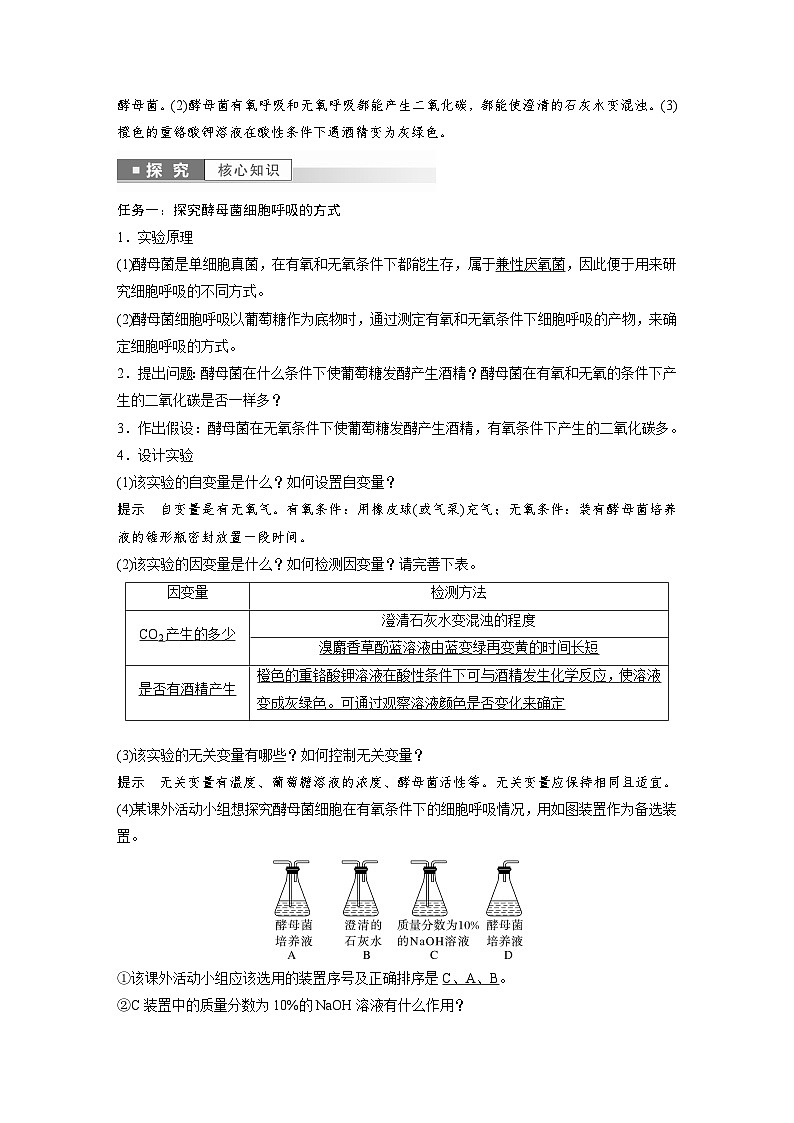 高中生物新教材同步必修第一册课件+讲义 第5章　第3节　第1课时　细胞呼吸的方式和有氧呼吸02