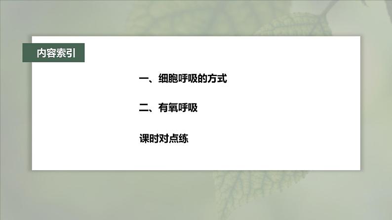 高中生物新教材同步必修第一册课件+讲义 第5章　第3节　第1课时　细胞呼吸的方式和有氧呼吸04