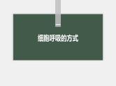 高中生物新教材同步必修第一册课件+讲义 第5章　第3节　第1课时　细胞呼吸的方式和有氧呼吸