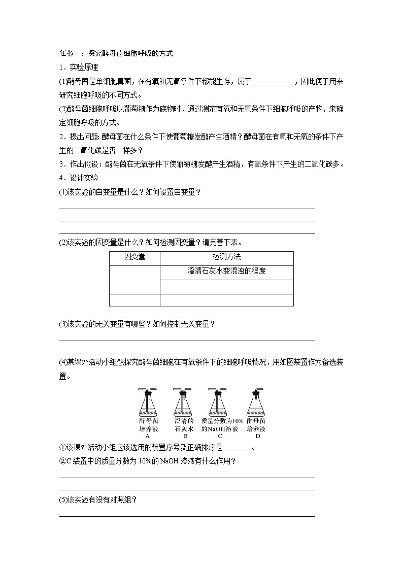 高中生物新教材同步必修第一册课件+讲义 第5章　第3节　第1课时　细胞呼吸的方式和有氧呼吸02