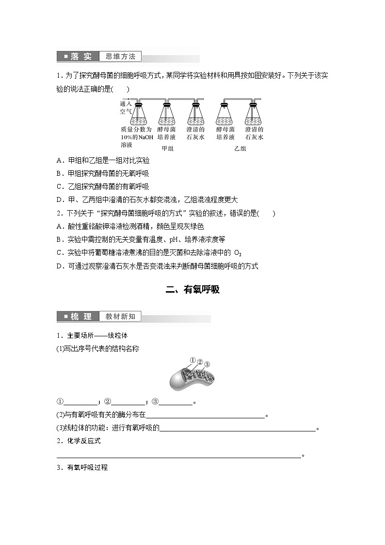 高中生物新教材同步必修第一册课件+讲义 第5章　第3节　第1课时　细胞呼吸的方式和有氧呼吸03