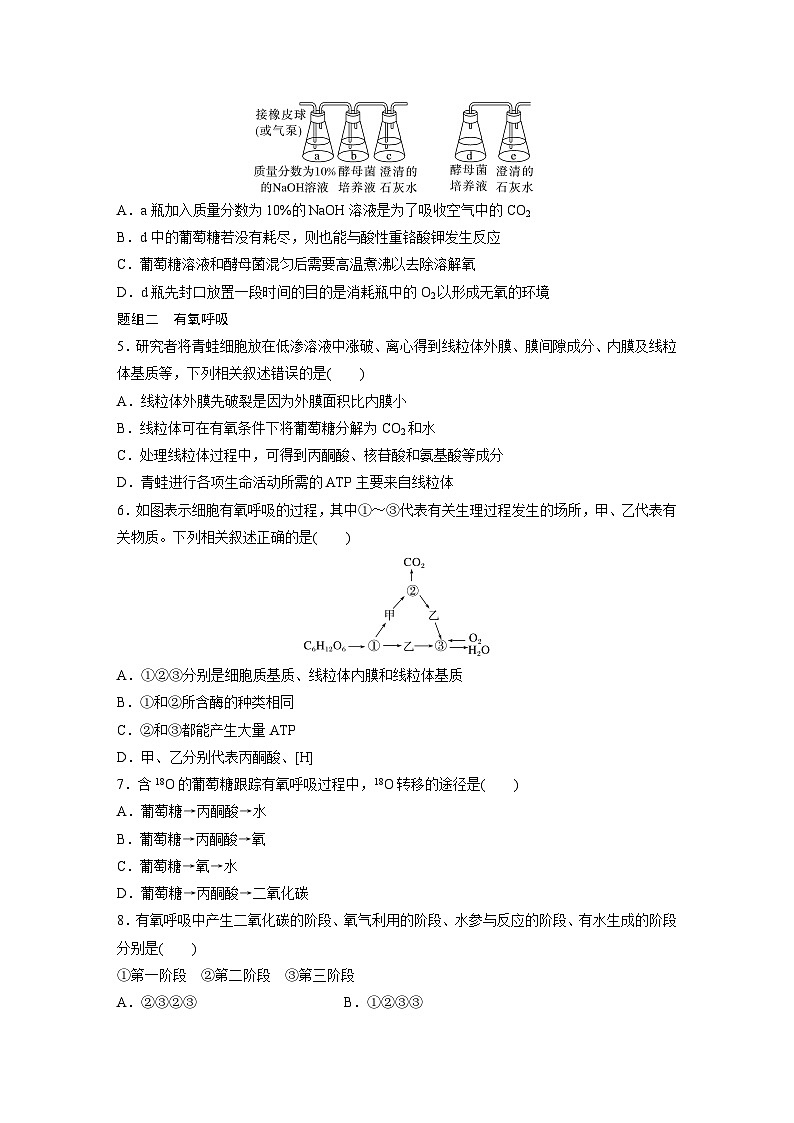 高中生物新教材同步必修第一册课件+讲义 第5章　第3节　第1课时　细胞呼吸的方式和有氧呼吸02