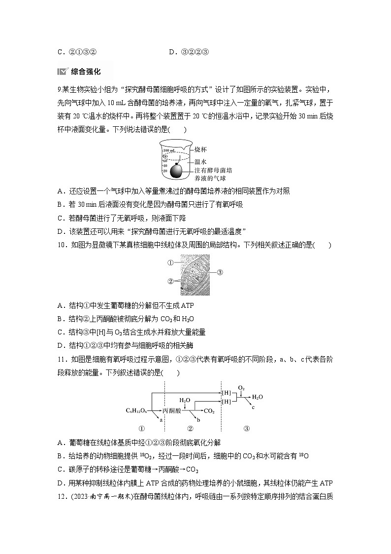 高中生物新教材同步必修第一册课件+讲义 第5章　第3节　第1课时　细胞呼吸的方式和有氧呼吸03