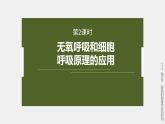高中生物新教材同步必修第一册课件+讲义 第5章　第3节　第2课时　无氧呼吸和细胞呼吸原理的应用