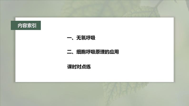 第5章　第3节　第2课时　无氧呼吸和细胞呼吸原理的应用第4页