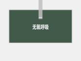 高中生物新教材同步必修第一册课件+讲义 第5章　第3节　第2课时　无氧呼吸和细胞呼吸原理的应用