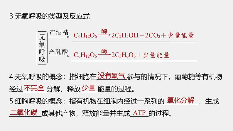 第5章　第3节　第2课时　无氧呼吸和细胞呼吸原理的应用第7页