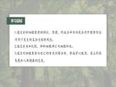 高中生物新教材同步必修第一册课件+讲义 第6章　第3节　细胞的衰老和死亡