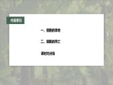 高中生物新教材同步必修第一册课件+讲义 第6章　第3节　细胞的衰老和死亡