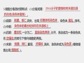 高中生物新教材同步必修第一册课件+讲义 主干知识排查(第6章)