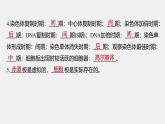 高中生物新教材同步必修第一册课件+讲义 主干知识排查(第6章)