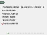 高中生物新教材同步必修第一册课件+讲义 章末检测试卷(第6章)
